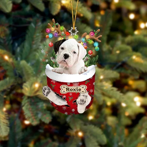 Vista 111 de LOVELYPOD Adorno Personalizado de Perro Affenpinscher, Adornos de Navidad Affenpinscher Regalo para Amante de Perros, Adorno de Navidad Colgante