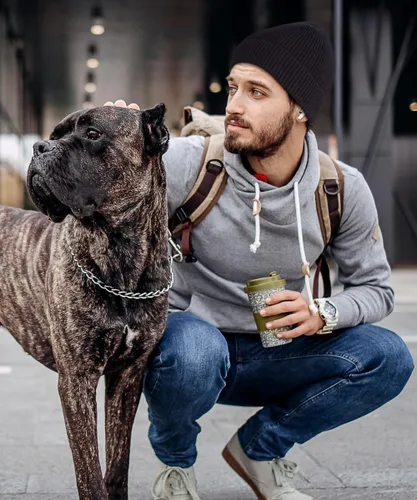 Vista 6 de Gorro 100% algodón para hombre, moderno y elegante, cálido y cómodo para el uso diario