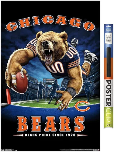 Vista 17 de Trends International NFL Chicago Bears - Póster de pared de End Zone 17, 14.725 x 22.375 pulgadas, versión enmarcada de madera de granero
