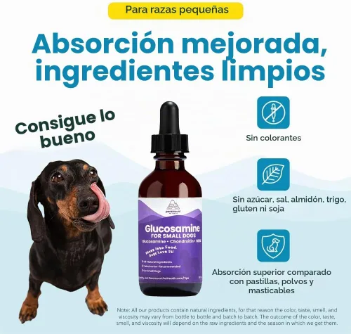 Vista 7 de Paramount Pet Health Glucosamina totalmente natural para perros – 260 mg de glucosamina para perros pequeños – Suplemento líquido