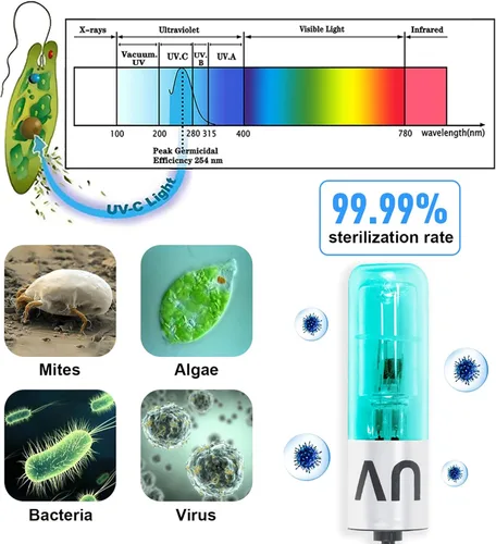 Vista 3 de TARARIUM Lámpara de acuario de 3 W, mini pecera, luz verde limpia, sumergible, uso en área de filtro para estanque de peces de 10 a 45 galones, agua