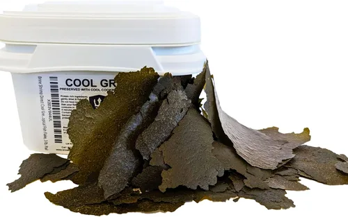 Vista 2 de Cool Green Spirulina y Kelp Tropical Fish Flake, cubo de 3 libras