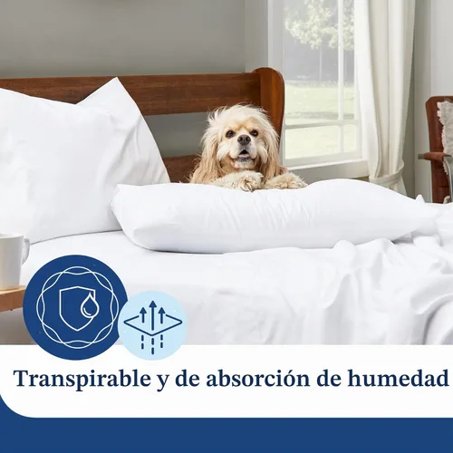 Vista 3 de Juego de Fundas de Almohada Cosy House-Juego de Fundas de Almohada de Bambú de Lujo, ultra suave-Colcha de Mezcla de Bambú Natural, hipoalergénica