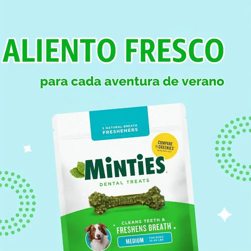 Vista 10 de Minties VetIQ - Golosinas dentales en hueso para perros, masticables dentales para perros medianos a grandes (más de 40 libras), 40