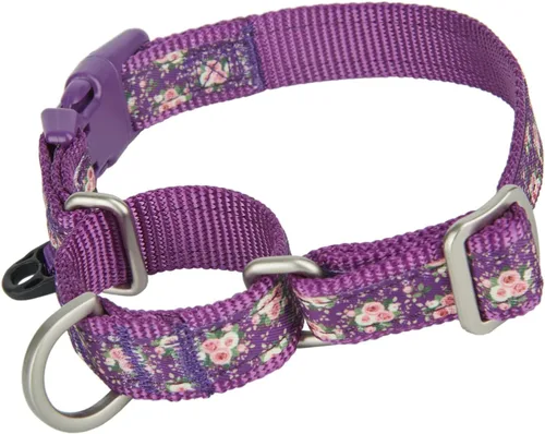 Vista 9 de Martingale - Collares para perros con hebilla a presión rápida, ajustable, patrón de flamenco, collares de entrenamiento sin tirones, para perros