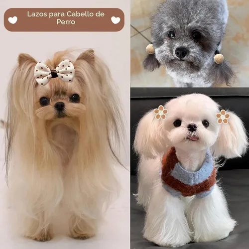Vista 6 de 20 Piezas Lazos para el Cabello de Perros Pequeños con Bandas de Goma Hechos a Mano Lazos para el Cabello de Cachorros Lindos Accesorios