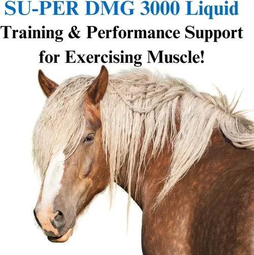 Vista 2 de SU-PER DMG 3000 Suplemento para caballos, galón líquido