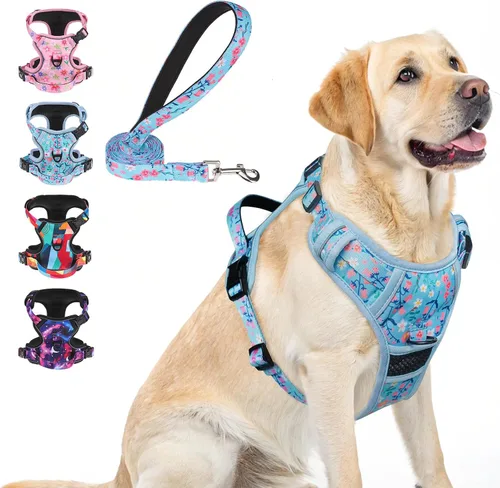 Vista 21 de BEAUTYZOO Arnés para perro sin tirones pequeño, juego de arnés y correa ajustable para perro - Fácil de usar con 3 hebillas/mango de control, arnés