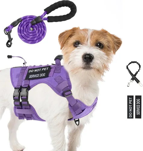 Vista 14 de Arnés táctico sin tirones para perro, tamaño pequeño, chaleco para perro de Negro