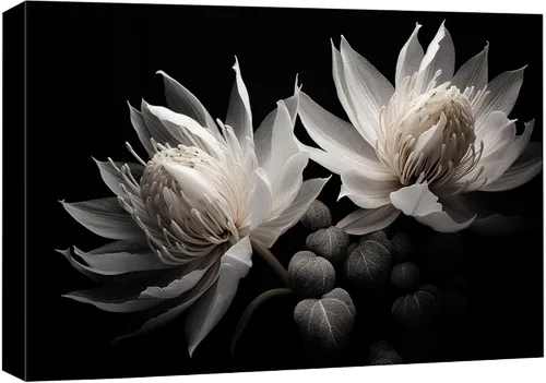 Vista 10 de wall26 Lienzo impreso para pared, diseño de rosa del desierto, suculentas, naturaleza, desierto, fotografía, realismo, floral, botánico, suroeste