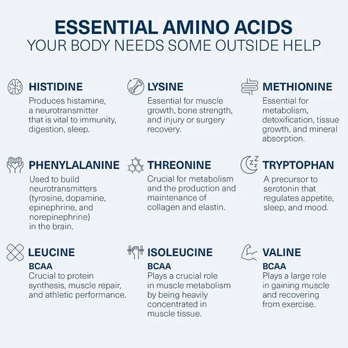 Vista 4 de The Amino CO. Purity - Suplemento de apoyo hepático con aminoácidos esenciales para limpieza de desintoxicación hepática - Aumenta la salud