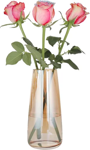Vista 10 de Jarrón de vidrio ámbar para flores, jarrones de vidrio transparente de 6 pulgadas para centro de mesa, jarrón moderno de estilo bohemio para boda
