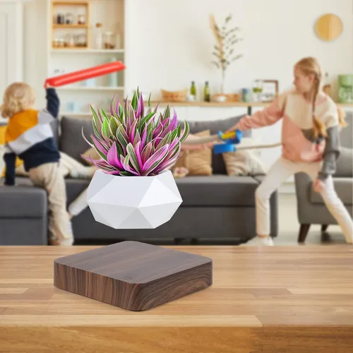 Vista 4 de Maceta de Bonsái que Levita en el Aire, Cosas Geniales, Macetas Giratorias para Flores, Planta en Maceta para Decoración de Escritorio en Macetas