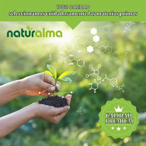Vista 7 de Naturalma Hierba de San Juan (Hypericum perforatum) hierba con flores tintura sin alcohol - 4 onzas líquidas de extracto líquido en gotas