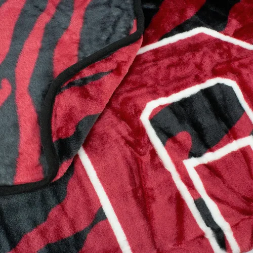Vista 21 de College Covers Arkansas Razorbacks Raschel Manta de Tiro, 60 pulgadas por 50 pulgadas