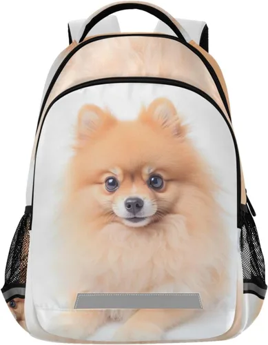 Vista 18 de ALAZA Divertidas mochilas de viaje para computadora portátil, mochila escolar para hombres, mujeres, adolescentes, niños, 33, Pugs de dibujos Pugs