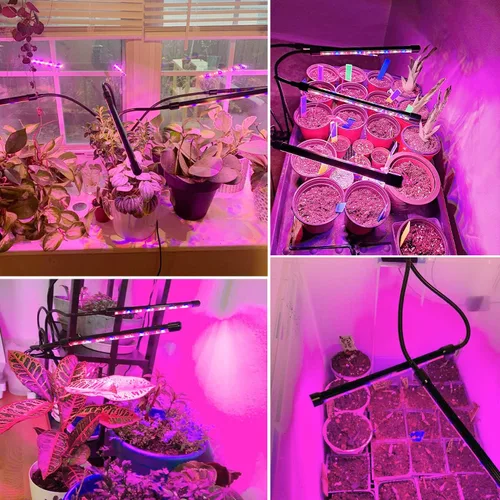 Vista 6 de Garpsen - Luces de cultivo para plantas de interior, 2 cabezales con clip, 40 LED Luz para plantas RedBlue, temporizador de 6/12/16 horas, 3