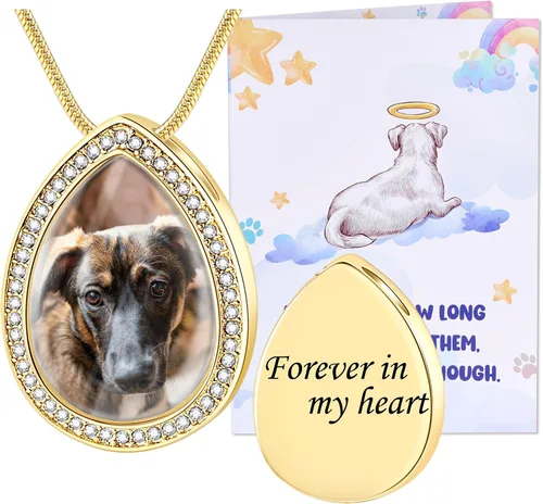 Vista 33 de Fanery Sue Collar personalizado para cenizas de mascotas para perros y gatos, foto y texto personalizados, regalo de condolencia, regalo