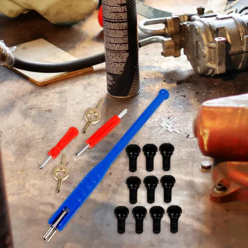 Vista 5 de Alasum 47pcs Tire Valve Stem Tool Set with Puller and Core Remover Blue Handle Valve Stem Installer for Car and Motorcycle Wheel Repair