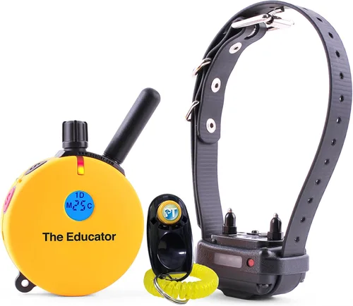 Vista 2 de Educator Collar ET-400 E para entrenamiento de perros con control remoto, rango de 3/4 millas, impermeable, 100 niveles de estimulación contundente