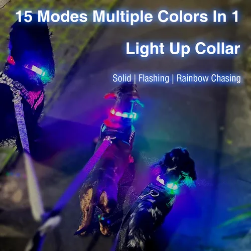 Vista 2 de Collar de perro recargable USB-C, collar de luz multicolor súper brillante, resistente a la intemperie, luz de seguridad para caminar por la noche