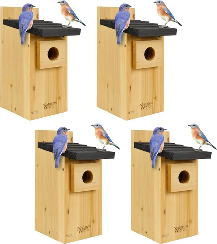 Vista 9 de Wild Wings WWCH3 Cedro Blue Bird Box House