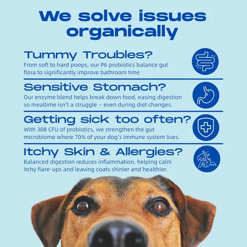 Vista 2 de Probióticos para perros – Salud intestinal de Happy Dog Masticables suaves probióticos orgánicos veganos con prebióticos para la digestión