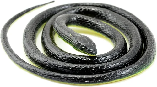 Vista 4 de Serpiente mamba realista de goma negro juguete 52 pulgadas de largo