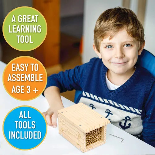Vista 6 de Rivajam Construye un proyecto de carpintería de bricolaje de casa de abejas Caja de anidación de madera solitaria Mason Bee House Kit