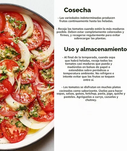 Vista 4 de Burpee 'Better Boy' - Semillas de tomate híbridas, gran variedad de tomate rojo en rodajas, 30 semillas de vegetales sin OMG para plantar, tomate
