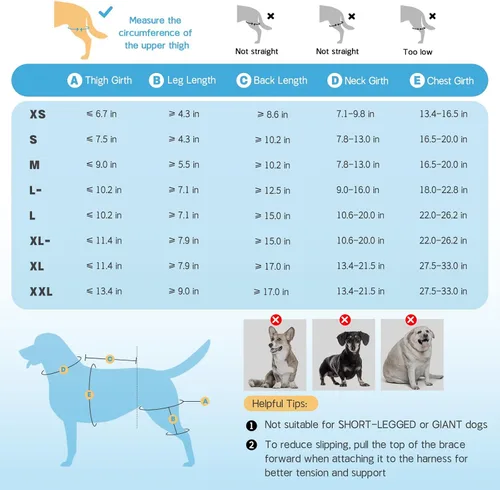 Vista 7 de Rodilleras para perro para soporte de pierna trasera, soporte ACL Negro
