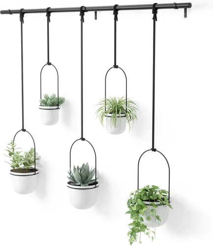 Vista 9 de Umbra Triflora - Maceta colgante para ventana, jardín de hierbas de interior, juego de 5, color negro