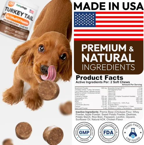 Vista 7 de Hongo de cola de pavo para perros – 250 masticables – Melena de león – Shiitake – Reishi – Protector de apoyo inmunológico Buddy – Suplemento