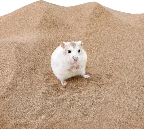 Vista 3 de Niteangel Baño de Arena del Desierto para Hámster Baño Sin Polvo o Arena para Baño de Hámster, Chinchillas, Jerbos, Ratones, Degu u Otras Mascotas