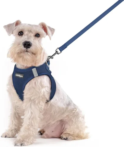 Vista 210 de rabbitgoo Arnés para perro de tamaño pequeño y juego de correa, chaleco Cachorros de manzana