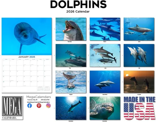 Vista 341 de Calendario de grises africanos 2025 2026 – Planificador mensual de pared de aves africanas – 12 x 18 pulgadas (abierto), calendario de pared