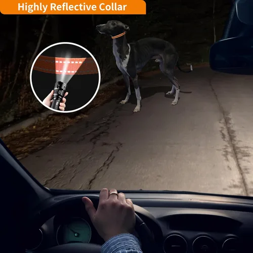 Vista 6 de Correa de repuesto para collar de choque, 3/4 pulgadas, paquete de 2, collar de perro ajustable reflectante, naranja y rosa, tamaño de cuello de 8 a