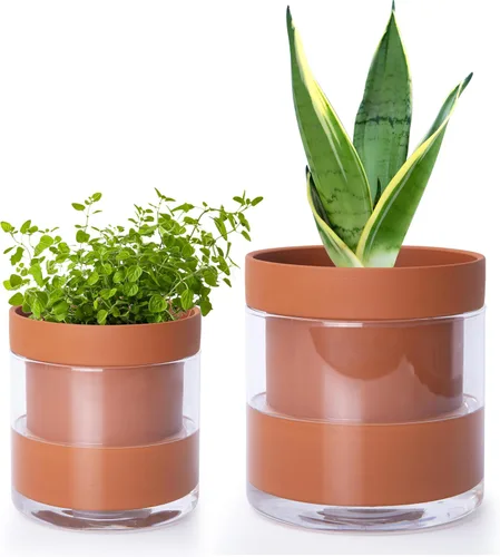Vista 24 de Phoenix Vine Maceta de riego automático de 4 pulgadas, maceta de arcilla de terracota con depósito de vidrio para plantas de interior, hierbas