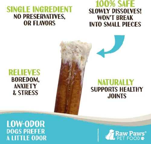Vista 2 de Raw Paws Palitos estándar para perros pequeños, 6 pulgadas (10 unidades) - Bajo olor Pizzle de carne de un solo ingrediente - Sin cuero crudo