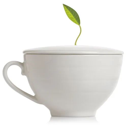 Vista 4 de Tea Forte Juego de iniciación de especias de calabaza, caja de presentación pequeña + taza de café, juego de regalo con infusor de té con taza