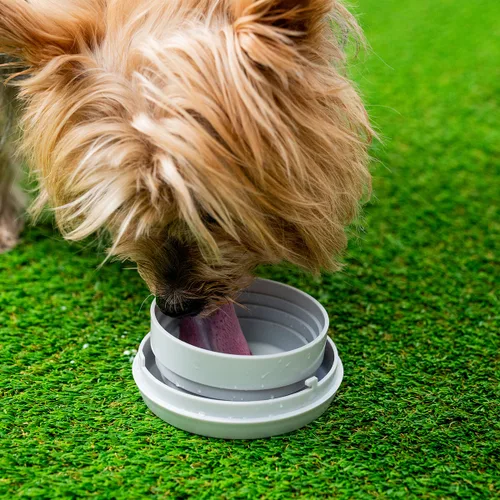 Vista 8 de Correa Retráctil para Perros 6 en 1 Leashic InnovaGoods