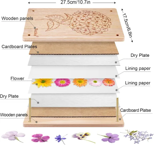 Vista 3 de Suziko Kit de prensa de flores grande para adultos y niños, 10.8 x 6.9 pulgadas, kit de preservación de plantas de flores, arte y manualidades