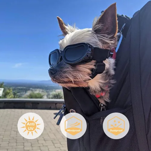 Vista 2 de Casco para perros de raza pequeña con gafas de protección UV, paquete de 2