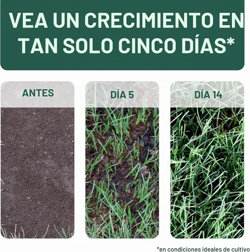 Vista 12 de Pennington Smart Patch Grass Seeds for Lawn, Sun and Shade Lawn Grass Repair Mix, 10 LB