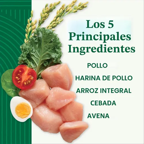 Vista 4 de Nutro Natural Choice Small Bites - Alimento seco para perros, pollo y arroz, 30 libras
