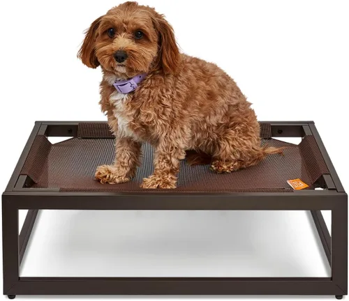 Vista 14 de FUZI Luxury Up - Cama elevada para perros para cachorros, cama elevada para mascotas para interiores y exteriores, a prueba de mordeduras