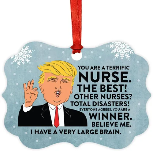 Vista 31 de Andaz Press Presidente Donald Trump Fancy Frame Recuerdo Adorno de Navidad Regalo de broma, excelente contador, 1 paquete, divertidas ideas