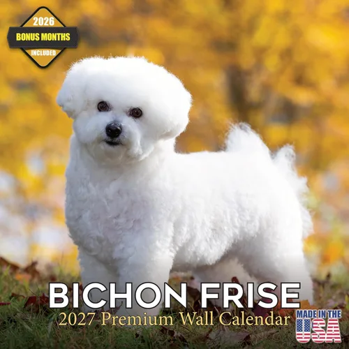 Vista 199 de Calendario de Lebrel Afgano 2025 2026, calendario mensual de pared de raza canina, 12" x 18" abierto, papel grueso sin traspaso, ideal para regalo