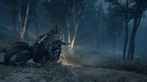 Vista 13 de Days Gone Standard - PC Código de juego en línea