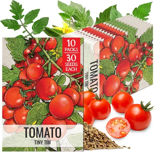 Vista 9 de Seed Needs Semillas de tomate para plantar tomates indeterminados de carne de res verdaderos, reliquia sin OMG y semillas de vegetales sin tratar